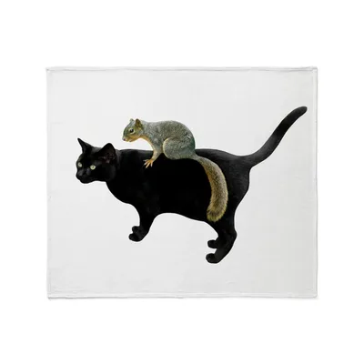 Squirrel on Cat Blanket: Black Feline with Squirrel Rider