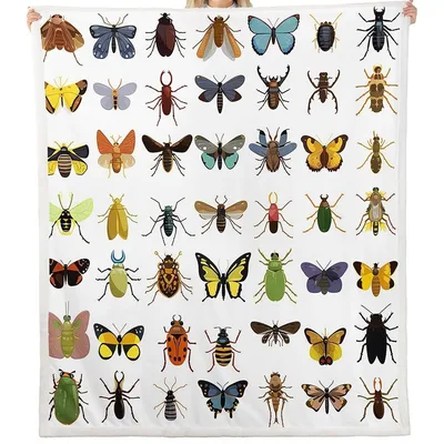 Colorful Beetles and Insects Blanket: A Nature-Inspired Pattern