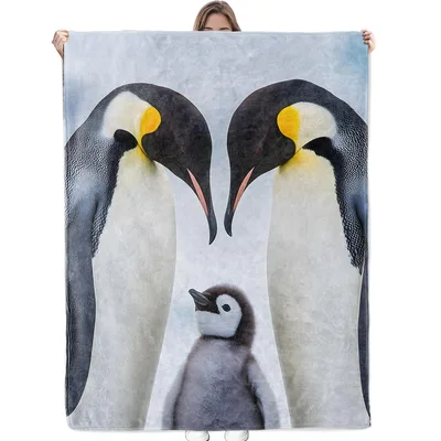 Penguin Family Heartwarming Scene Blanket: Cozy King Penguin Art
