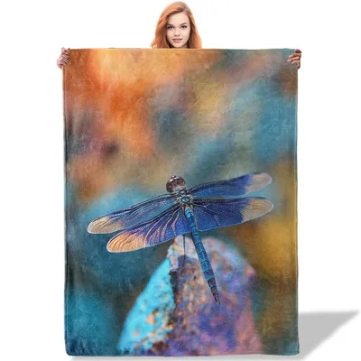 Dragonfly Perched on Stone Blanket: Blue Insect Art