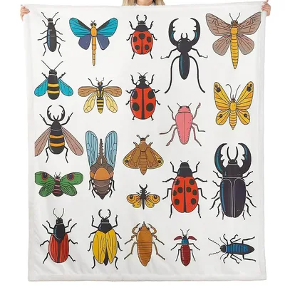 Colorful Bugs Insect Collection Blanket