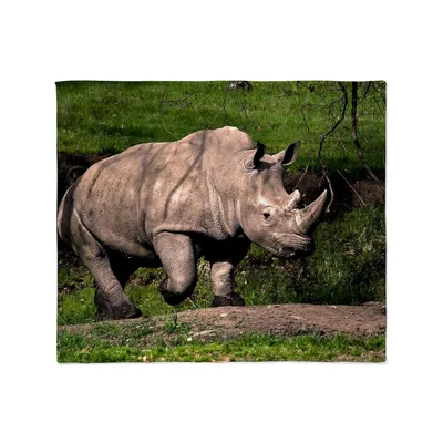 Rhinoceros Walking on Grassy Blanket: Wild Animal Print