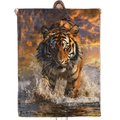 Tiger Walking in Water Blanket