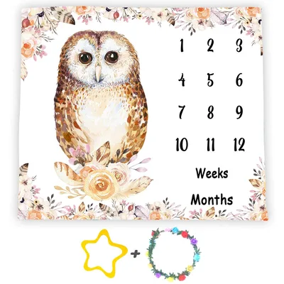 Owl Baby Monthly Milestone Blanket: Floral Owl Design for First Year