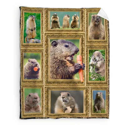Groundhogs in Golden Frames Blanket
