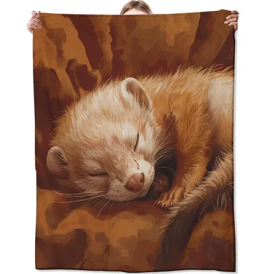 Sleeping Ferret Painting Blanket: Cozy Art for Napping Enthusiasts