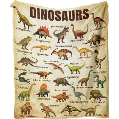 Dinosaurs Lufengosaurus Tyrannosaurus Ornithomimus Blanket