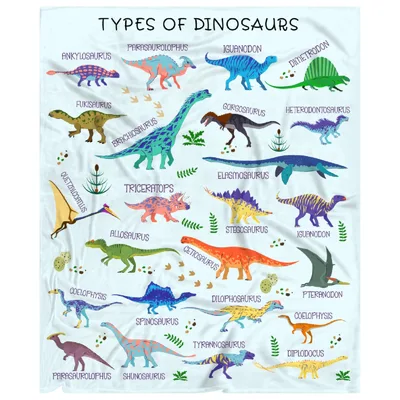 Types of Dinosaurs Chart Blanket