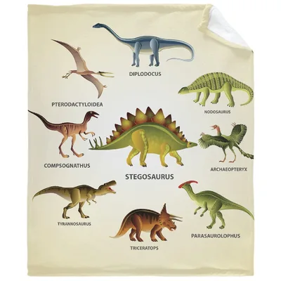 Dinosaur Species Chart Pattern Blanket