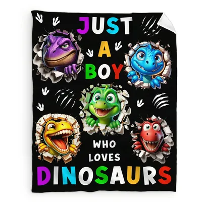 Just a Boy Blanket: Colorful Dinosaur Design for Kids and Teens