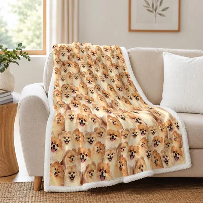 Pomeranian Dog Blanket: A Field of Fluffy Faces