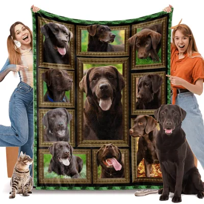 Chocolate Lab Blanket: Framed Collage of Brown Dog Portraits