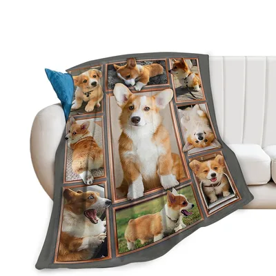 Corgi Dog Photos Blanket for Corgi Lovers and Dog Fans
