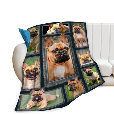 French Bulldog Blanket with Frame-Style Dog Photos