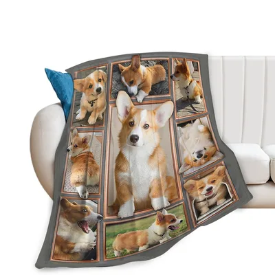 Corgi Mom Blanket: Eight Corgi Photos in Frames
