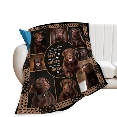 Chocolate Labrador Blanket: A Love Story in Paw Prints