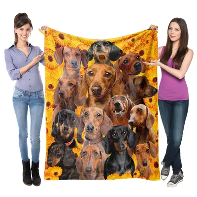 Sunflower Dog Blanket: Dachshunds Among the Blooms