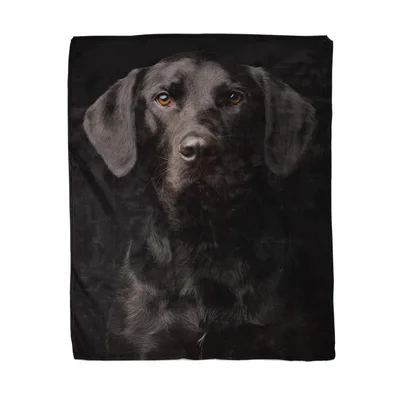 Black Labrador Portrait Blanket for Dog Lovers