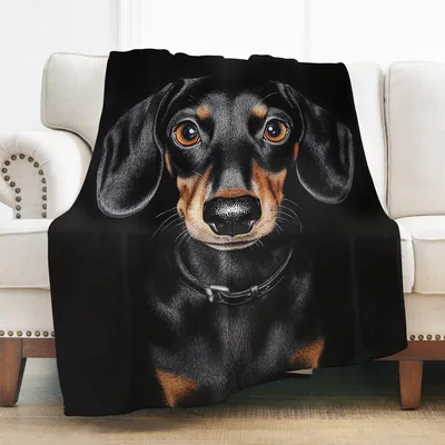 Dachshund Dog Portrait Blanket for Dog Lovers