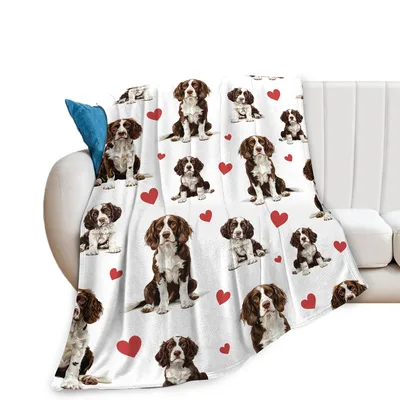 Springer Spaniel Blanket for Dog Lovers Everywhere