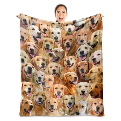 Many Golden Retrievers Faces Blanket: A Packed Pack of Happy Dogs