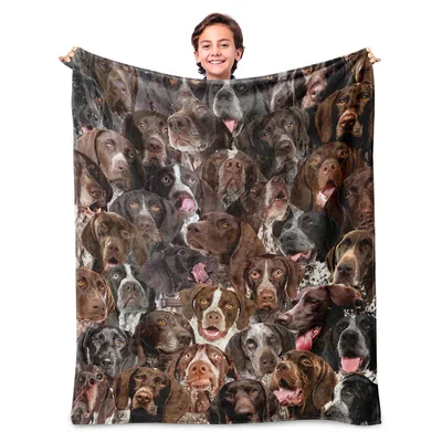 Pointer Dog Blanket: A Wall of Brown and White Faces