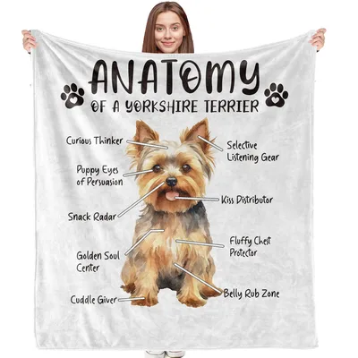 Yorkie Dog Blanket: Anatomy of a Yorkshire Terrier