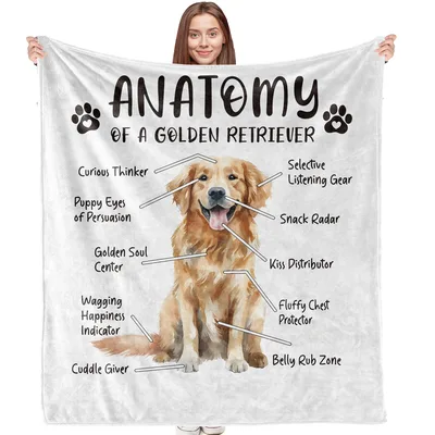 Anatomy Of A Golden Blanket: Golden Retriever Lovers