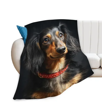 Long Haired Dachshund Portrait Blanket: Realistic Weiner Dog Art
