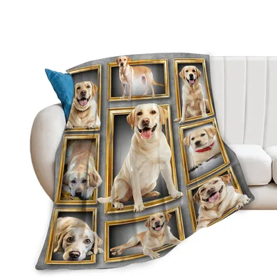 Labrador Dog Photo Blanket: Golden Frames Gallery of Happy Dogs