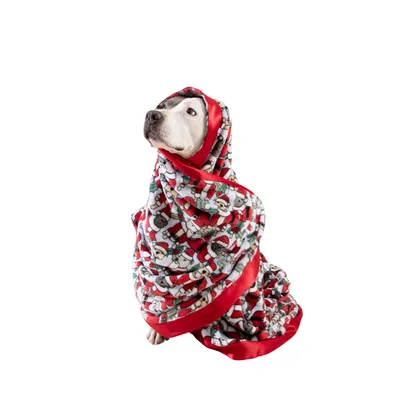 Dog Santa Christmas Blanket: Festive Canine Holiday Design