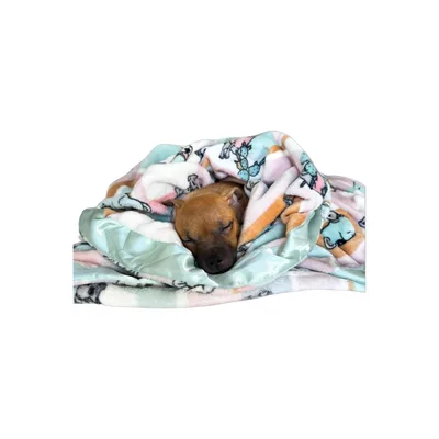 Puppy Lover Blanket with Cactus and Cow Print Fun