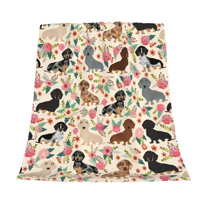 Dachshund Pattern with Pink Blanket for Dog Lovers