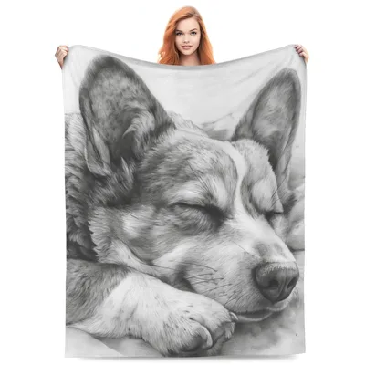 Dog Sketch Blanket: A Sleeping Corgi in Pencil