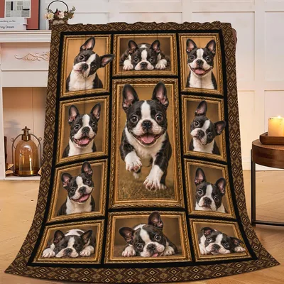 Boston Terrier Dog Blanket: Eleven Framed Portraits