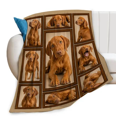 Vizsla Dog Blanket: Six Photos of One Golden Pup
