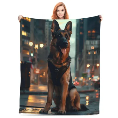 City Dog Blanket: German Shepherd on a Night Street