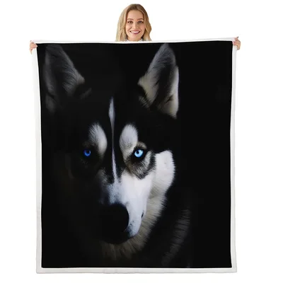 Siberian Husky Portrait Blanket: Intense Blue Eyes on Black