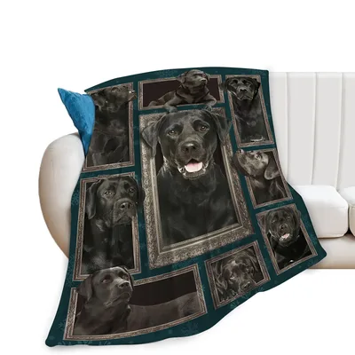 Black Labrador Photo Collage Blanket: Framed Paws and Smiles