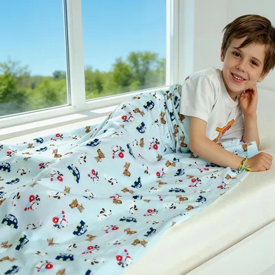 Cute Dogs and Cars Blanket: Playful Pattern for Young Explorers