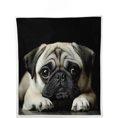 Pug Dog Close Up Blanket: Realistic Portrait of a Resting Fawn Pug