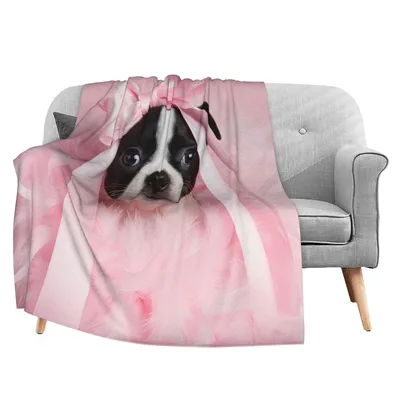 Boston Terrier Puppy Photo Blanket: Pink Feathered Tuck-In Design