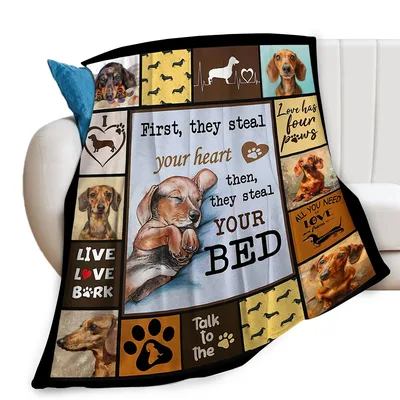 First They Steal Your Heart Blanket Dachshund Collage Design