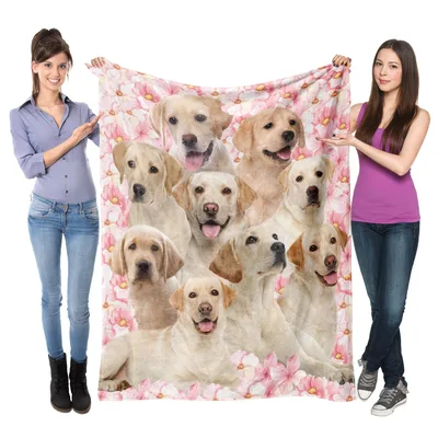 Labrador Retrievers Portrait Collage Blanket for Dog Lovers