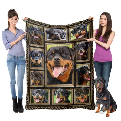 Rottweiler Dogs Portrait Collage Blanket: Framed Dog Photos for Lovers