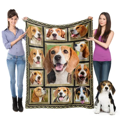 Beagle Dogs Portrait Collage Blanket: Framed Canine Faces
