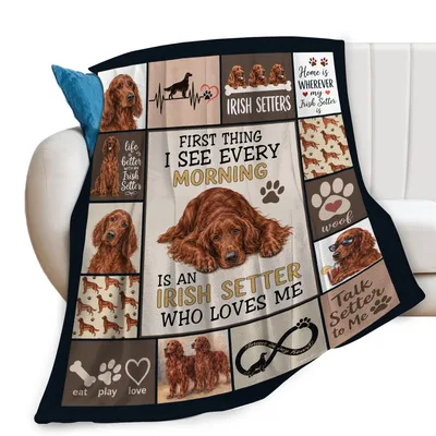 Irish Setter Who Loves Blanket