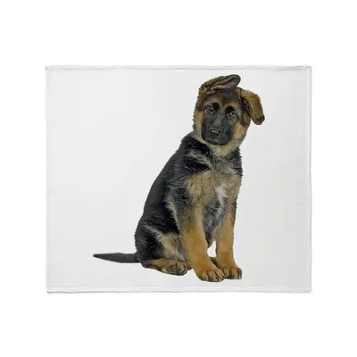 German Shepherd Puppy Portrait Blanket: Cute Sitting Dog Design