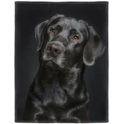 Black Labrador Portrait Blanket No. 2: Realistic Black Lab Print