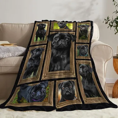 Black Pug Dogs Photo Blanket: Framed Pugs Gallery Design